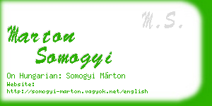 marton somogyi business card